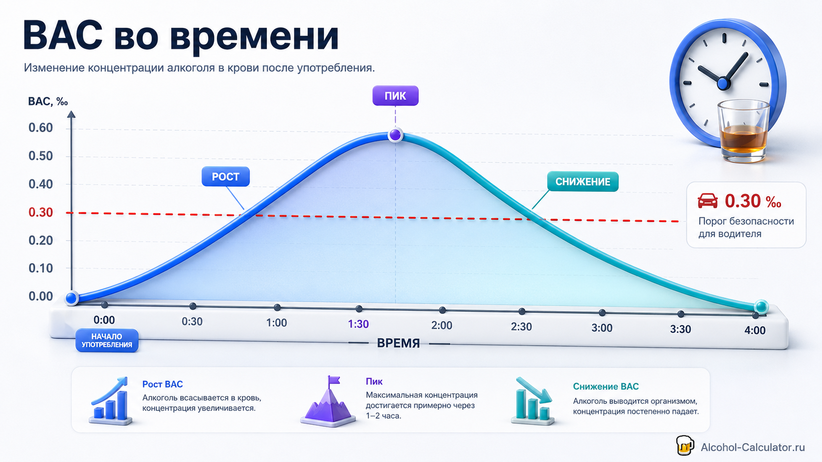 График выведения алкоголя из крови по часам